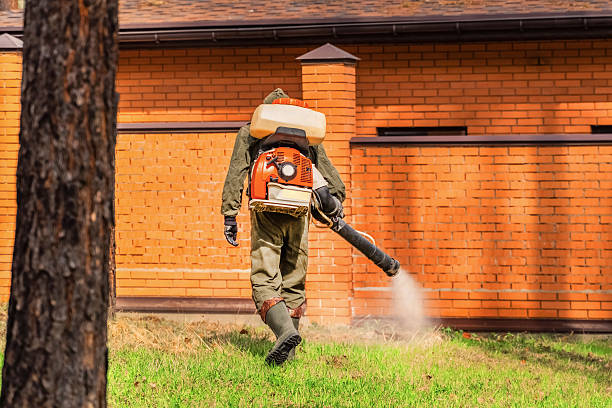 Trusted Bed Bug Control service in Ashland City, TN - Nex Pest Control